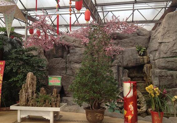 植物園取景