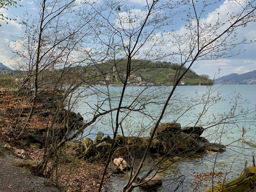 搞笑背后的科學(xué)