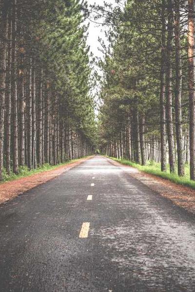 寵物搞笑時(shí)刻